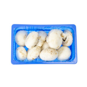 Champignons Box
